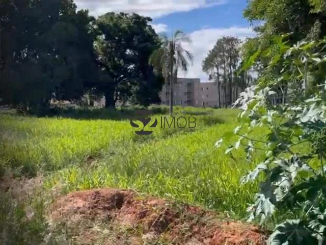Terreno venda em Jardim  Maria Antonieta, Mogi Mirim