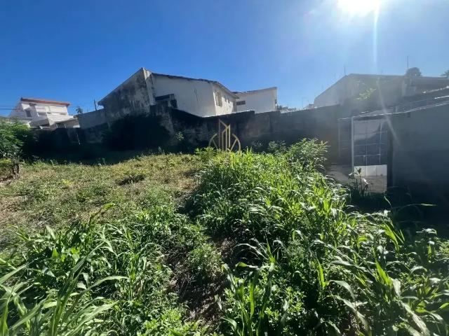 Terreno venda em Mogi Mirim, Região Geográfica Intermediária de Campinas