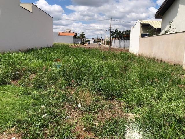 Terreno venda em Mogi Mirim