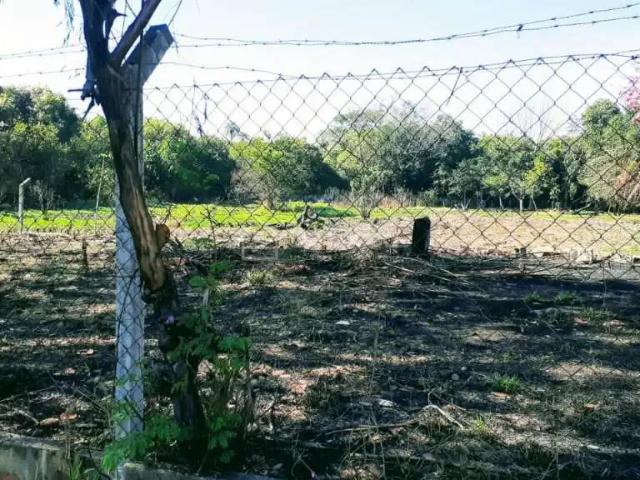 Terreno venda em Região Imediata de Amparo, Monte Alegre do Sul