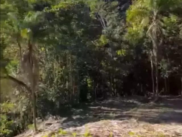 Terreno venda em Região Imediata de Amparo, Monte Alegre do Sul