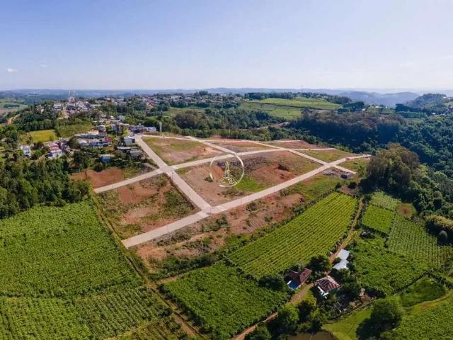 Terreno venda em Região Geográfica Imediata de Bento Gonçalves, Monte Belo do Sul