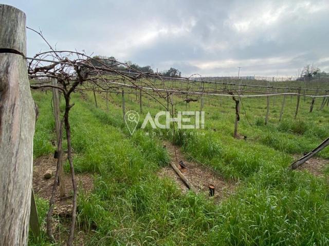 Terreno venda em Monte Belo do Sul, Região Geográfica Intermediária de Caxias do Sul