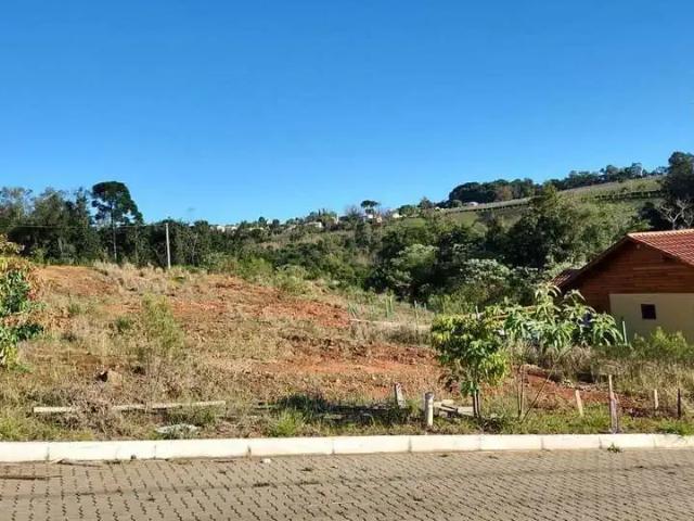 Terreno venda em Região Geográfica Imediata de Bento Gonçalves, Monte Belo do Sul