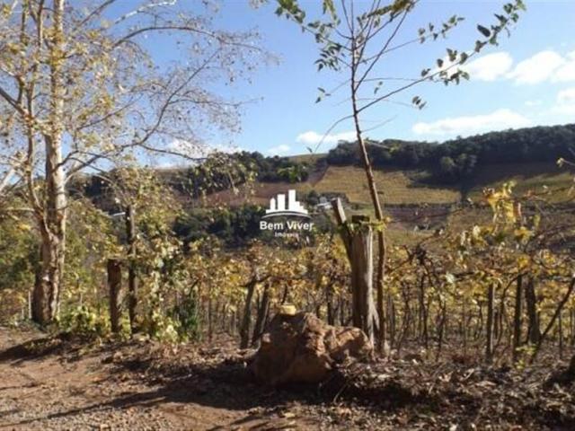 Terreno venda em Monte Belo do Sul, Região Geográfica Intermediária de Caxias do Sul