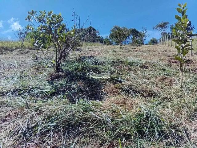 Terreno venda em Região Imediata de São José dos Campos, Região Metropolitana do Vale do Paraíba e Litoral Norte