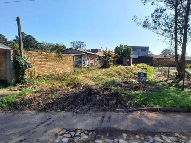 Terreno venda em Região Geográfica Imediata de Montenegro, Região Metropolitana de Porto Alegre