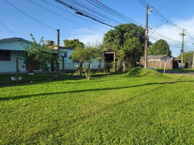 Terreno venda em Região Geográfica Imediata de Montenegro, Região Metropolitana de Porto Alegre