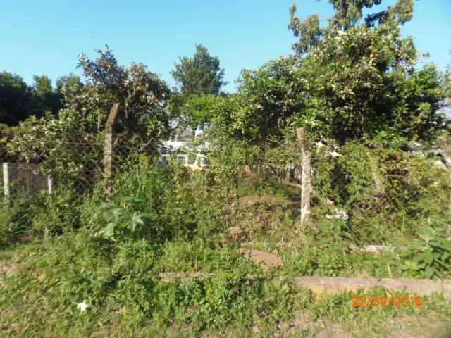 Terreno venda em Região Geográfica Imediata de Montenegro, Região Metropolitana de Porto Alegre
