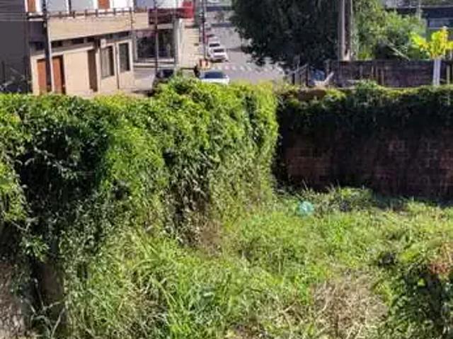 Terreno venda em Região Geográfica Imediata de Montenegro, Região Metropolitana de Porto Alegre