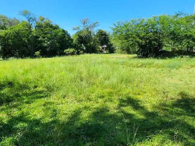 Terreno venda em Região Geográfica Imediata de Montenegro, Região Metropolitana de Porto Alegre