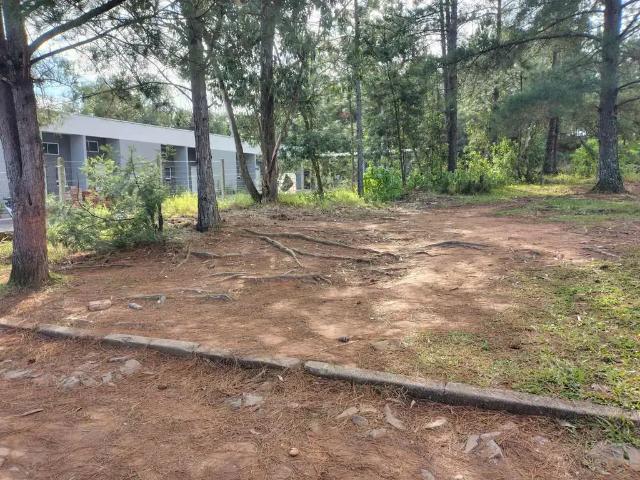 Terreno venda em Região Geográfica Imediata de Montenegro, Região Metropolitana de Porto Alegre
