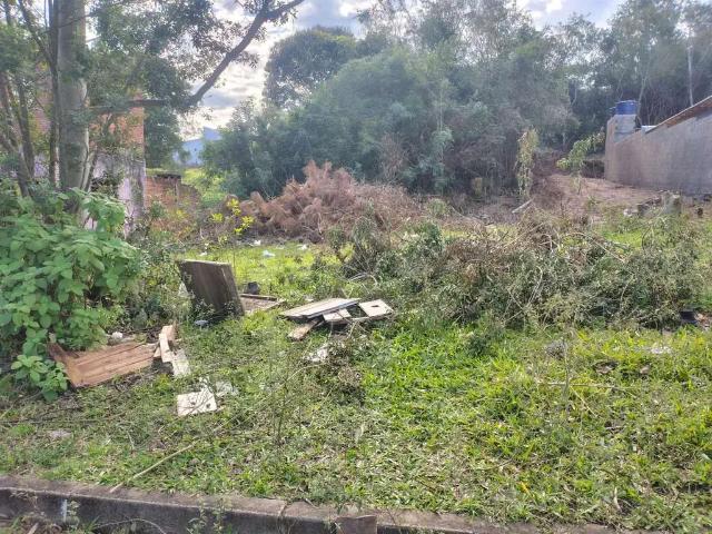 Terreno venda em Região Geográfica Imediata de Montenegro, Região Metropolitana de Porto Alegre