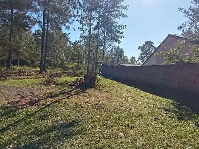 Terreno venda em Região Geográfica Imediata de Montenegro, Região Metropolitana de Porto Alegre