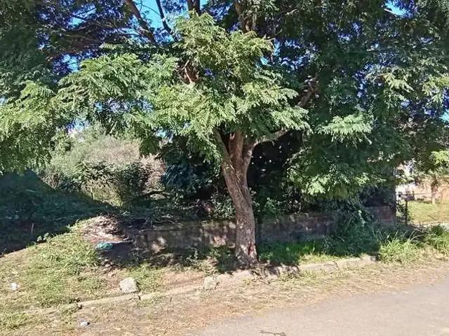 Terreno venda em Região Geográfica Imediata de Montenegro, Região Metropolitana de Porto Alegre
