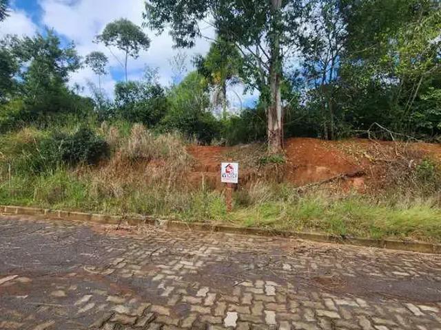 Terreno venda em Região Geográfica Imediata de Montenegro, Região Metropolitana de Porto Alegre