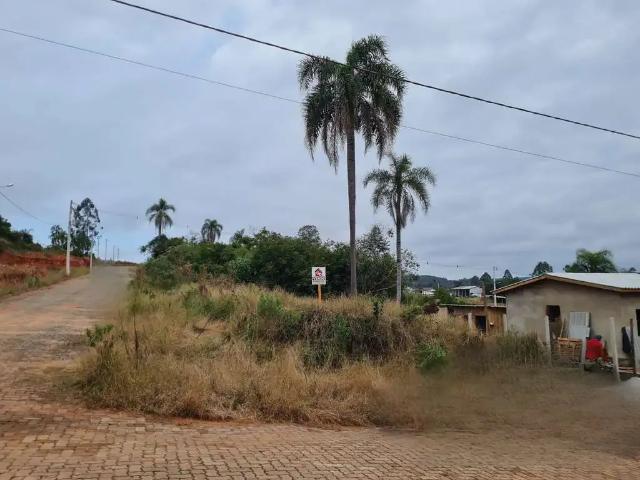 Terreno venda em Região Geográfica Imediata de Montenegro, Região Metropolitana de Porto Alegre