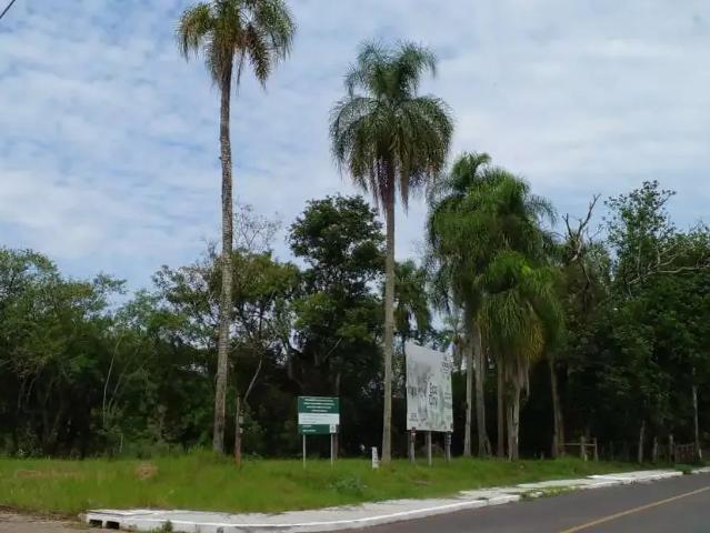 Terreno venda em Região Geográfica Imediata de Montenegro, Região Metropolitana de Porto Alegre