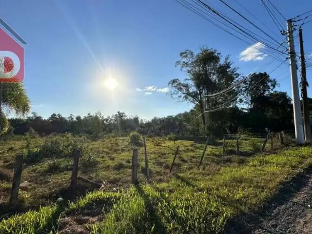 Terreno venda em Região Geográfica Imediata de Montenegro, Região Metropolitana de Porto Alegre