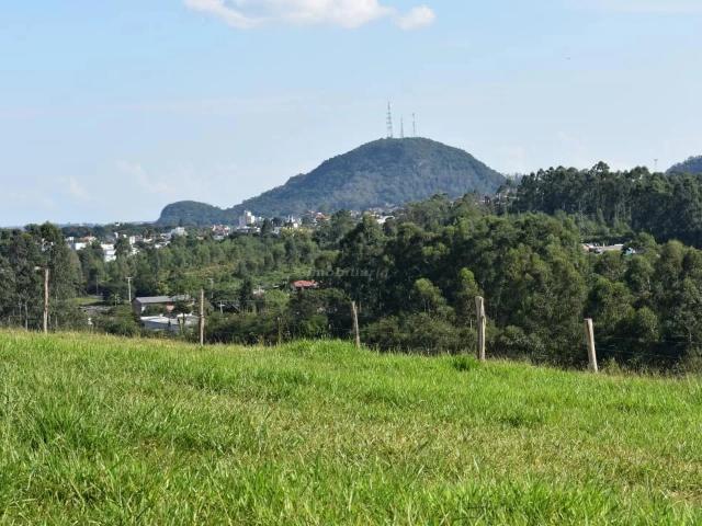 Terreno venda em Montenegro, Região Geográfica Intermediária de Porto Alegre