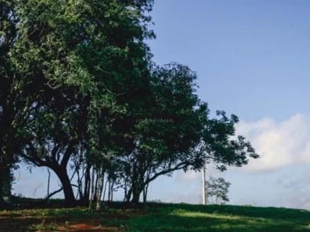 Terreno venda em Montenegro, Região Geográfica Intermediária de Porto Alegre
