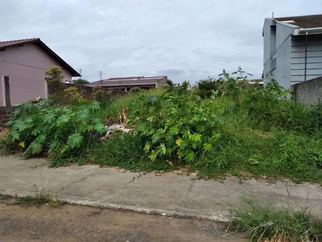 Terreno venda em Região Geográfica Imediata de Montenegro, Região Metropolitana de Porto Alegre