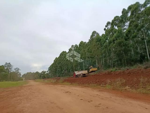 Terreno venda em Região Geográfica Imediata de Montenegro, Região Metropolitana de Porto Alegre