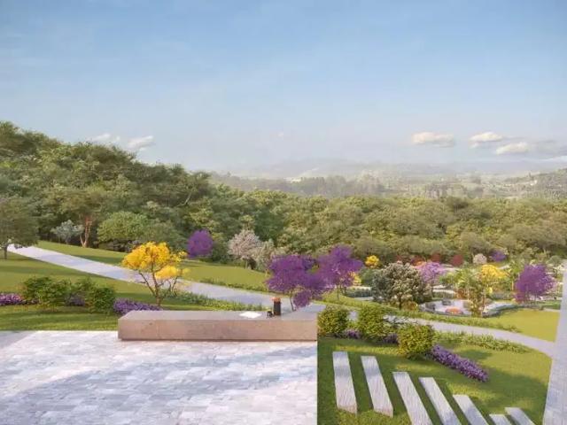 Terreno venda em Região Geográfica Imediata de Montenegro, Região Metropolitana de Porto Alegre
