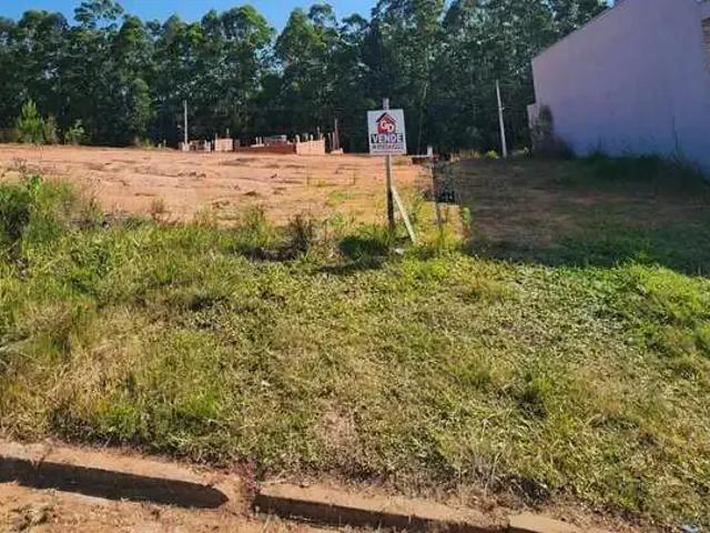 Terreno venda em Região Geográfica Imediata de Montenegro, Região Metropolitana de Porto Alegre