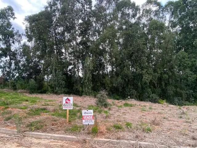 Terreno venda em Região Geográfica Imediata de Montenegro, Região Metropolitana de Porto Alegre