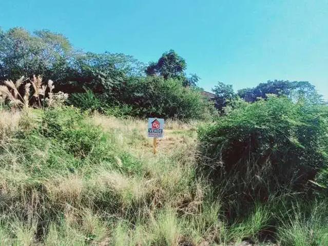 Terreno venda em Região Geográfica Imediata de Montenegro, Região Metropolitana de Porto Alegre