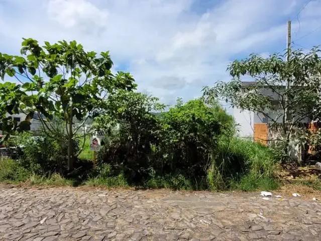 Terreno venda em Região Geográfica Imediata de Montenegro, Região Metropolitana de Porto Alegre