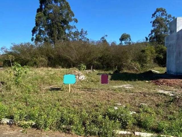 Terreno venda em Montenegro, Região Geográfica Intermediária de Porto Alegre