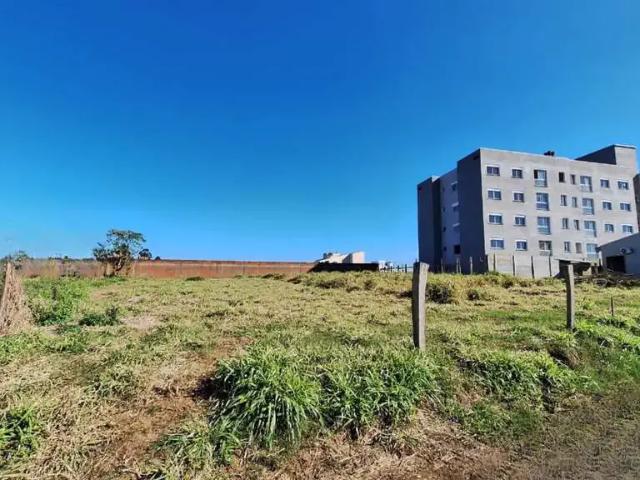 Terreno venda em Região Geográfica Imediata de Montenegro, Região Metropolitana de Porto Alegre