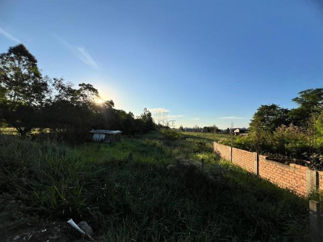 Terreno venda em Montenegro, Região Geográfica Intermediária de Porto Alegre