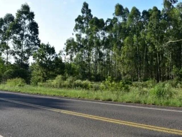 Terreno venda em Montenegro, Região Geográfica Intermediária de Porto Alegre
