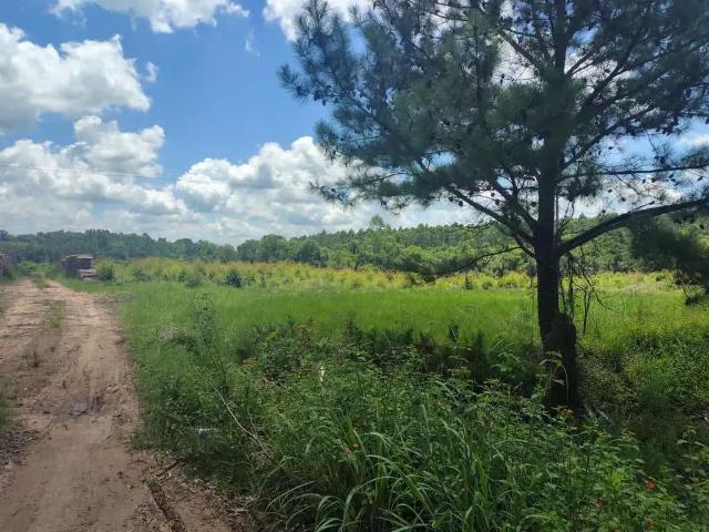 Terreno venda em Região Geográfica Imediata de Montenegro, Região Metropolitana de Porto Alegre