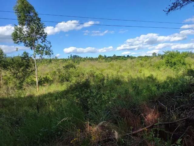 Terreno venda em Região Geográfica Imediata de Montenegro, Região Metropolitana de Porto Alegre