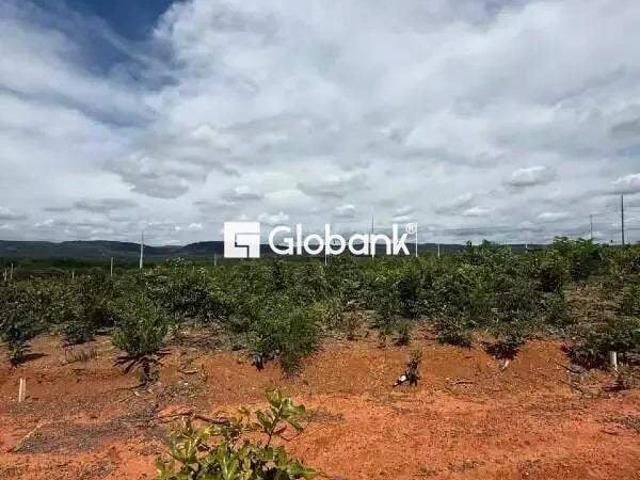 Terreno venda em Montes Claros, Região Geográfica Intermediária de Montes Claros