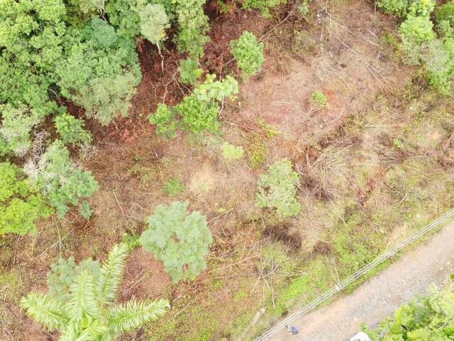 Terreno venda em América de Cima, Morretes