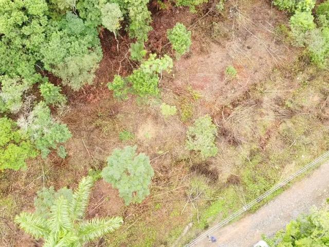 Terreno venda em Região Geográfica Imediata de Paranaguá, Morretes