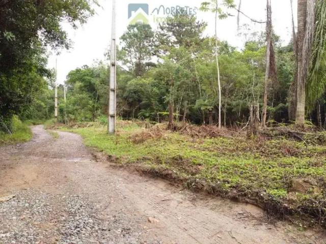 Terreno venda em Região Geográfica Imediata de Paranaguá, Morretes