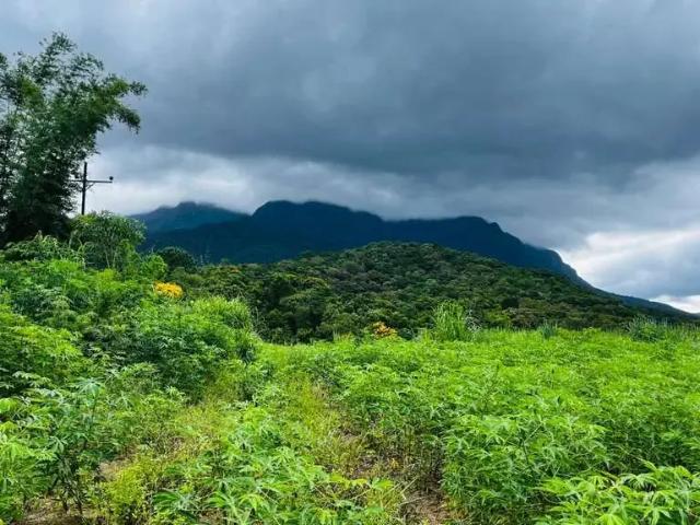 Terreno venda em Região Geográfica Imediata de Paranaguá, Morretes