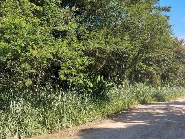 Terreno venda em Região Geográfica Imediata de Paranaguá, Morretes