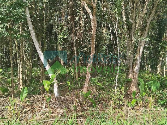 Terreno venda em Barreiros, Morretes