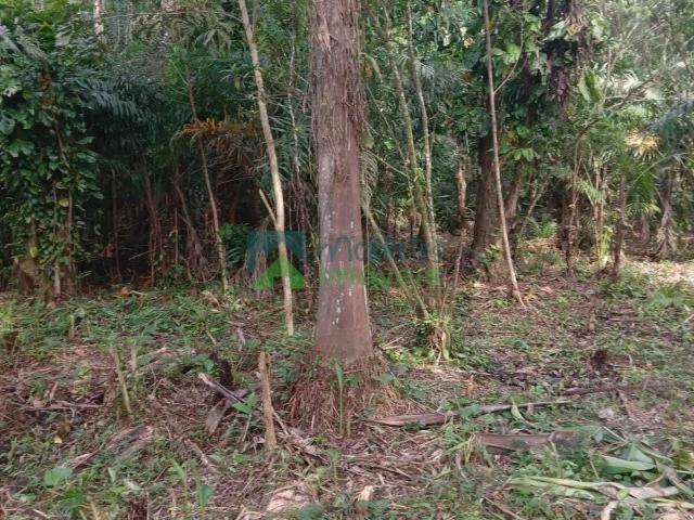 Terreno venda em Vila Santo Antônio, Morretes