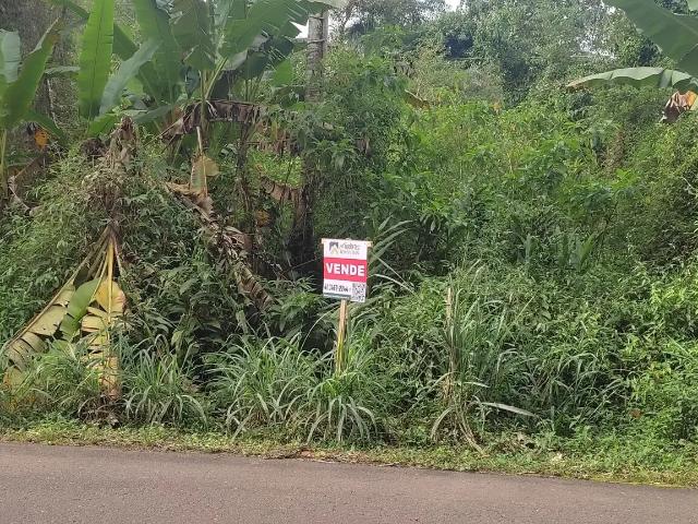 Terreno venda em Região Geográfica Imediata de Paranaguá, Morretes