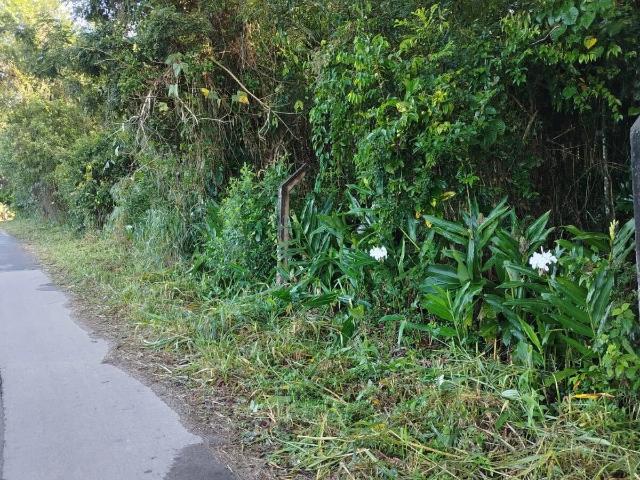 Terreno venda em Vila Santo Antônio, Morretes