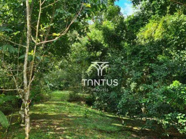 Terreno venda em Vila Santo Antônio, Morretes