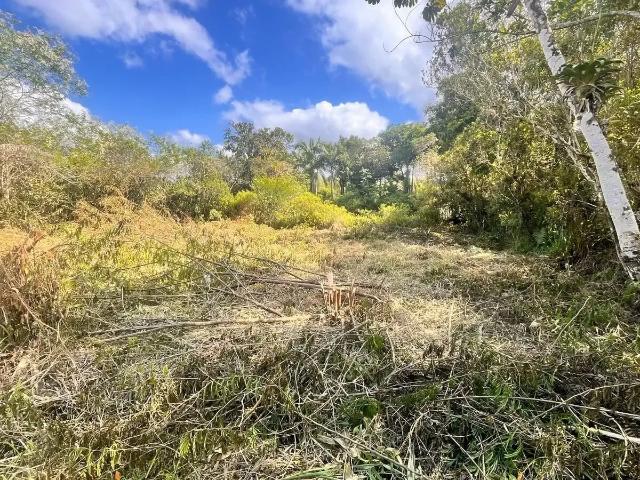 Terreno venda em Região Geográfica Imediata de Paranaguá, Morretes